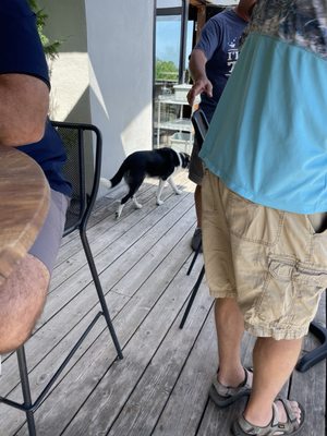 Suttons Bay Ciders by null