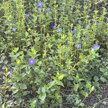 Estancia Park - Parks Near Me - Costa Mesa, California