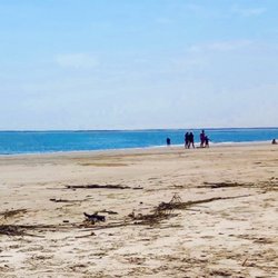 Bloody Point Beach - Bloody Point Beach, Daufuskie Island