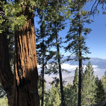 Black Mountain Trail - Hiking Near Me - Idyllwild, California Black Mountain Trail - Hiking Near Me - Idyllwild, California