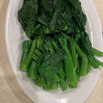 Koi Palace - 665. Chinese Broccoli with Oyster Sauce - Dim Sum Near Me - Milpitas, California Koi Palace - 665. Chinese Broccoli with Oyster Sauce - Dim Sum Near Me - Milpitas, California
