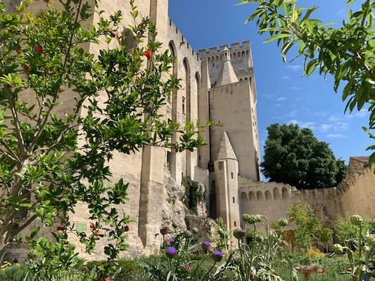 Musée du Petit Palais by null