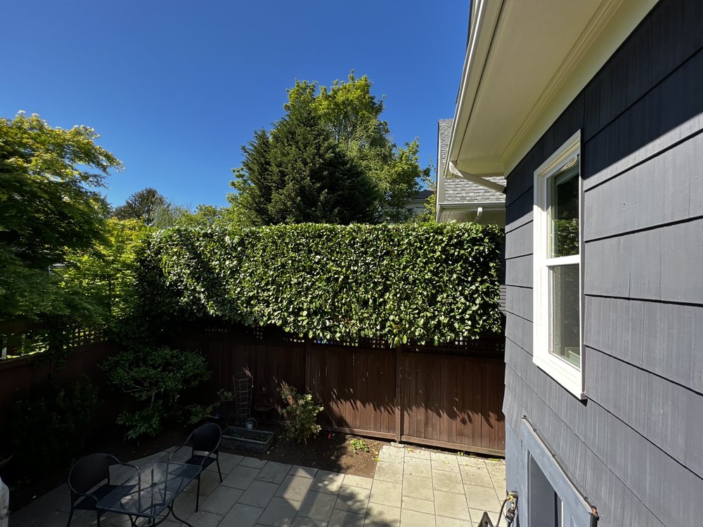 Adept Tree Care - tree service in Seattle, WA