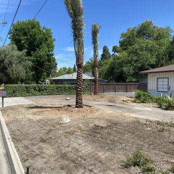 Fox Nurseries - Instant majestic quality at a price.. - Nurseries & Gardening Near Me - Pomona, California Fox Nurseries - Instant majestic quality at a price.. - Nurseries & Gardening Near Me - Pomona, California