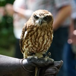 Biotopwildpark Anholter Schweiz