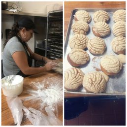 Conchas