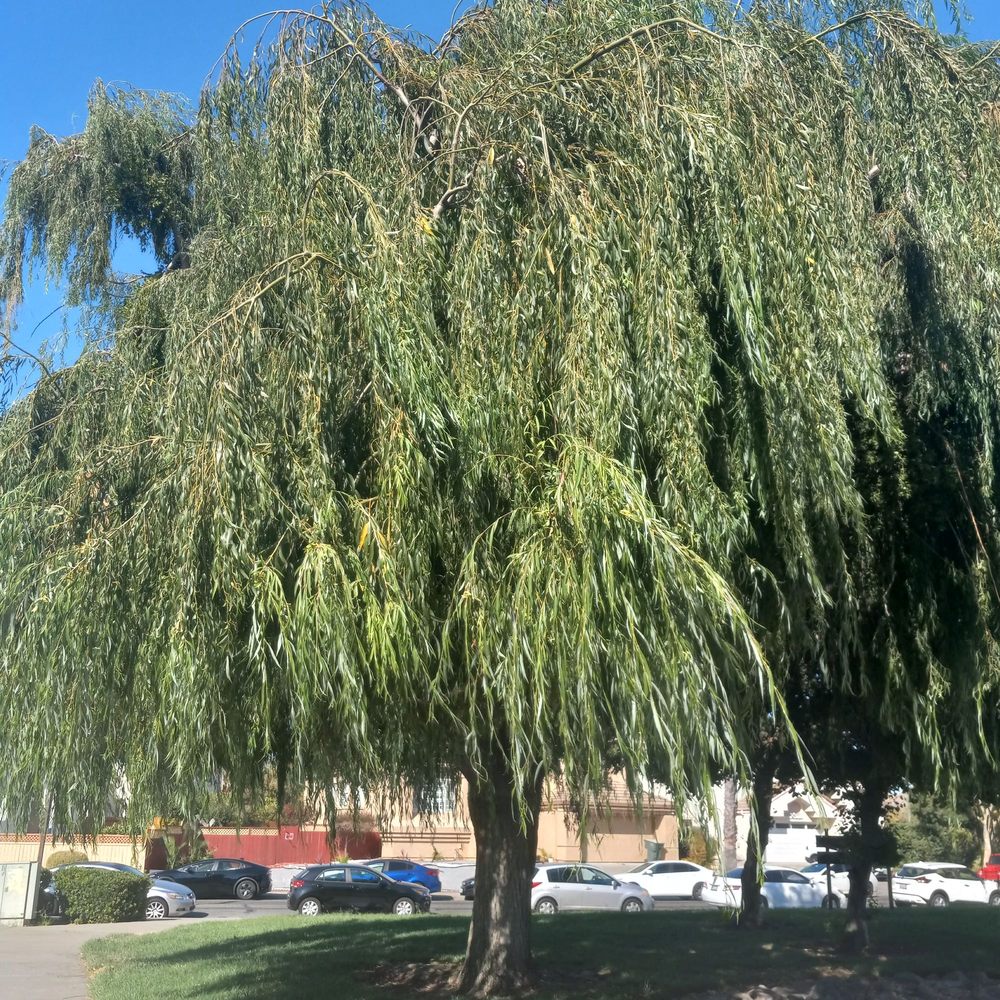 THE BEST 10 LAKES in SOLANO COUNTY, CA - Updated 2026 - Hours - Yelp