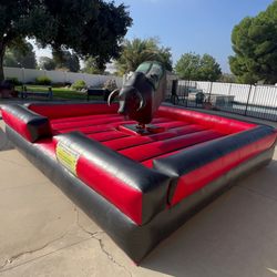Mechanical bull