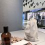 Aesop Roosevelt Field