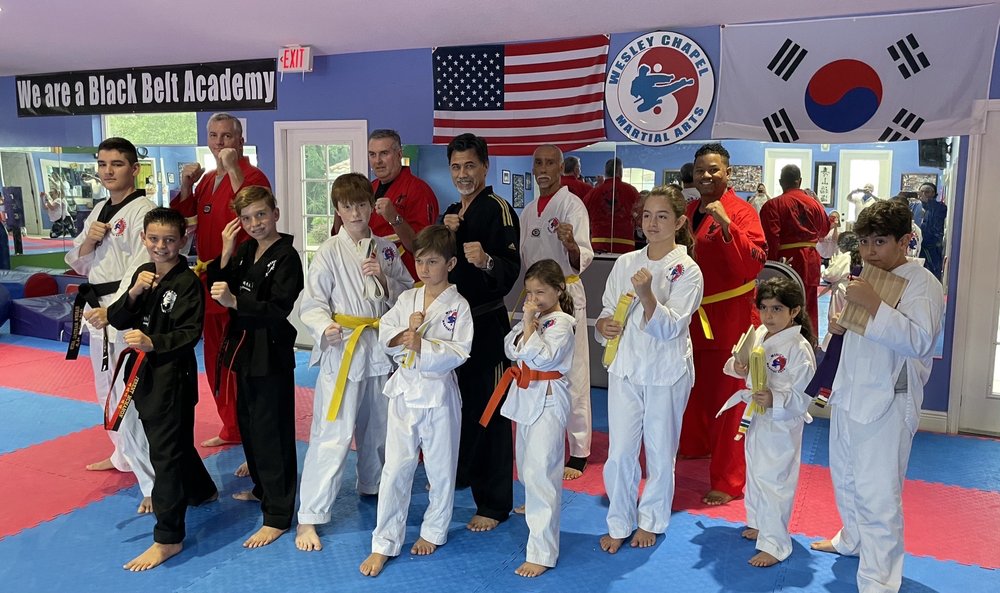 Wesley Chapel Martial Arts Academy Logo