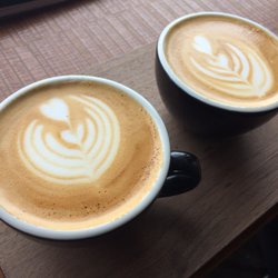 Guilt Trip - Oatmilk Lattes