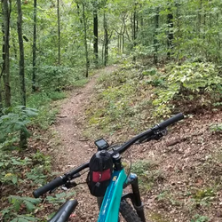 Ozark Bike Guides
