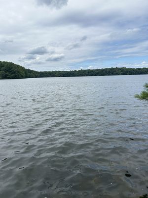 Cochituate State Park by null