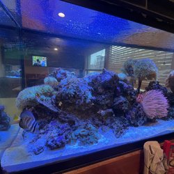 Carbone's Pizzeria - Aquarium