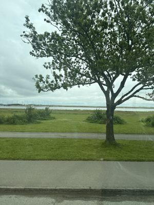 Amager Beachpark by null