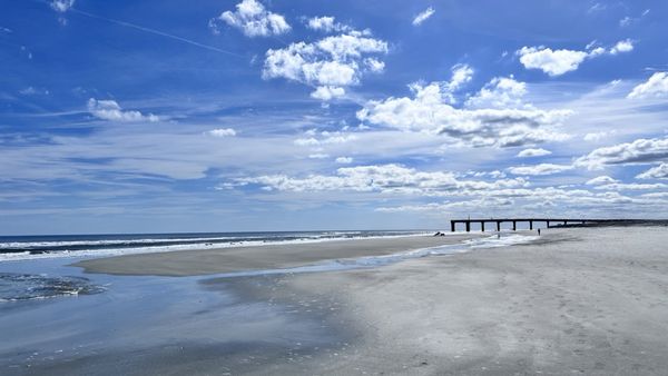 Anastasia State Park by null