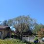 Photo of C&M Tree Care