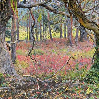 McNee Ranch State Park - McNee Ranch State Park - Parks Near Me