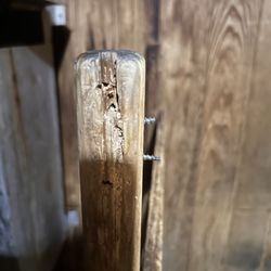 Gold's Gym - Sharp screws sticking out of wood in sauna.