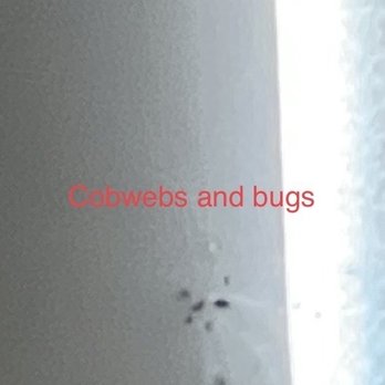 Clarion Hotel Beachfront - Bugs - Hotels Near Me - Mackinaw City, Michigan