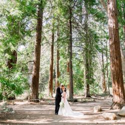 Dream wedding