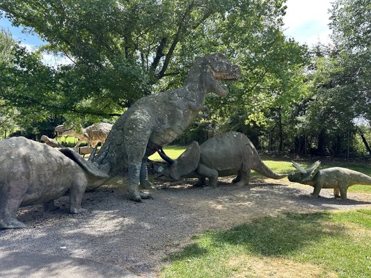 Dinosaur Land by null