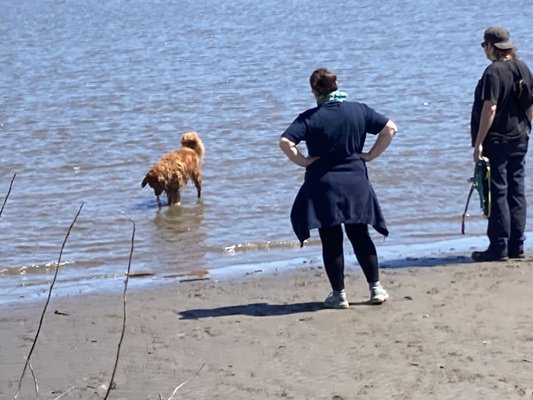 Saugerties Lighthouse by null