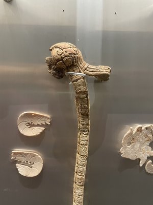 Mayan World Museum of Mérida by null