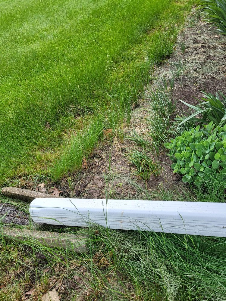 Naturescape - tree service in McFarland, WI