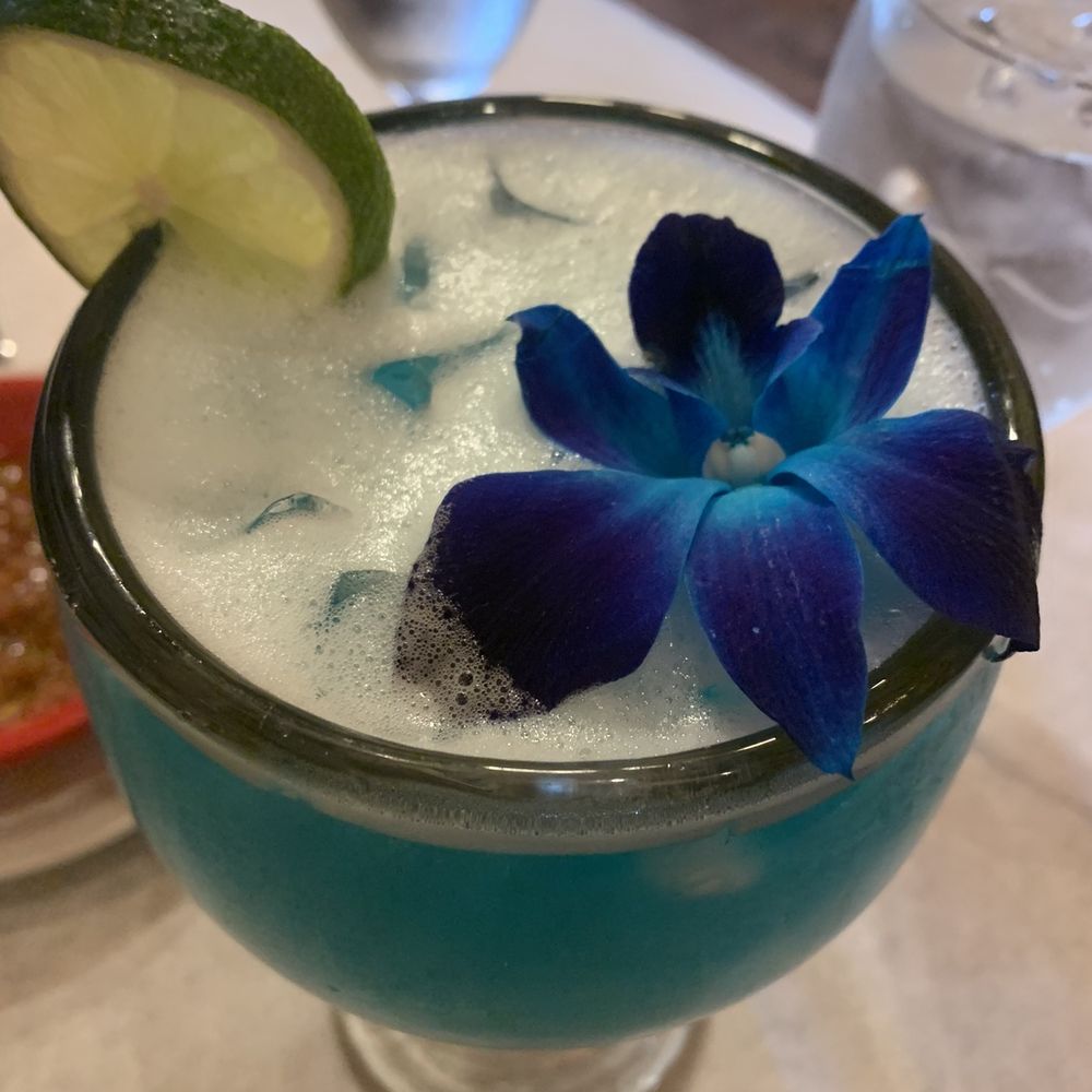 Paradise Margarita Paradise Margarita