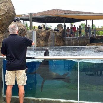 Columbus Zoo and Aquarium - Sea lion feeding - Zoos Near Me - Powell, Ohio