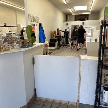 Scrub-A-Pup - Interior upon entering - Pet Groomers Near Me - San Mateo, California Scrub-A-Pup - Interior upon entering - Pet Groomers Near Me - San Mateo, California