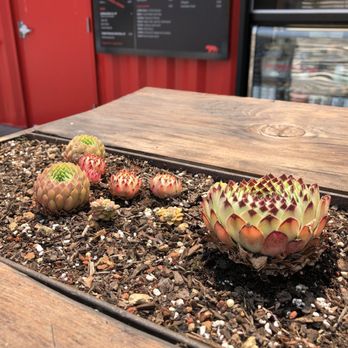 Equator Coffees - Cafes Near Me - Oakland, California