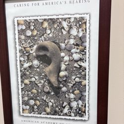 Audiology Hears