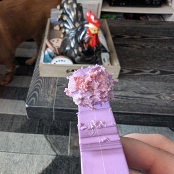 The Woof Pack - Thanks for giving my dog something to make him bleed - Dog Walkers Near Me The Woof Pack - Thanks for giving my dog something to make him bleed - Dog Walkers Near Me