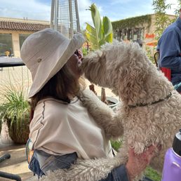 Making some 4 legged friends. Making some 4 legged friends.