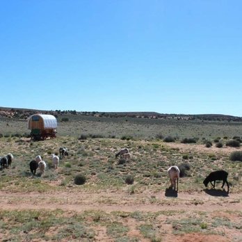 Shash Dine' Eco-Retreat - Hotels Near Me - Page, Arizona Shash Dine' Eco-Retreat - Hotels Near Me - Page, Arizona