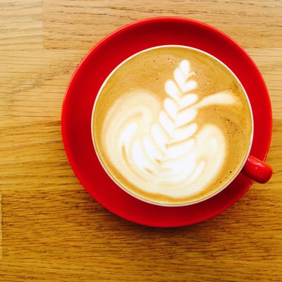 My Little Cup by null