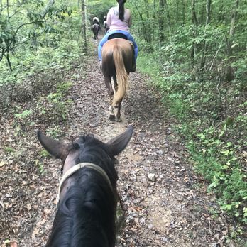 Natchez Trace Stables - Horseback Riding Near Me - Primm Springs, Tennessee Natchez Trace Stables - Horseback Riding Near Me - Primm Springs, Tennessee