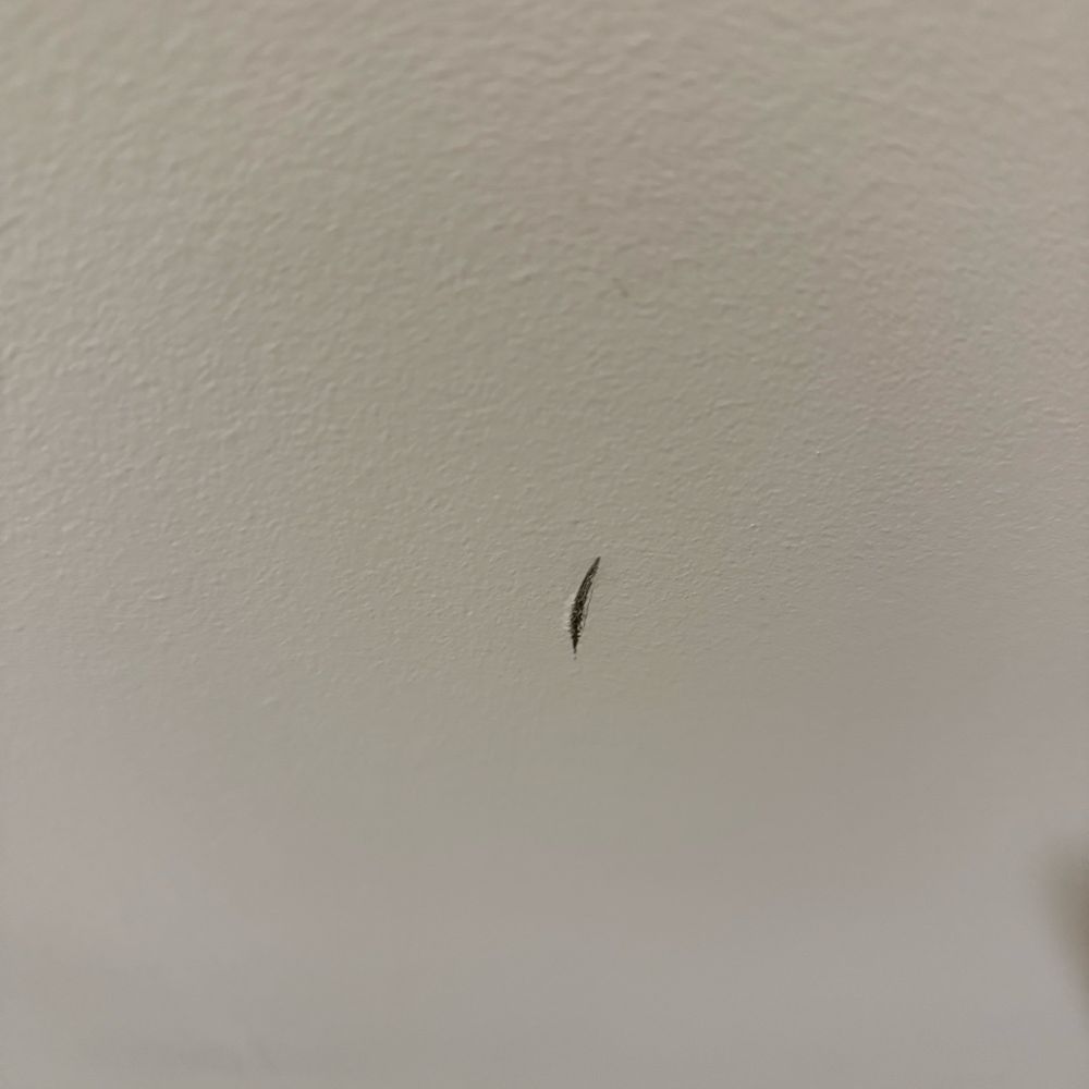 Phes - Office Cleaning Near Me