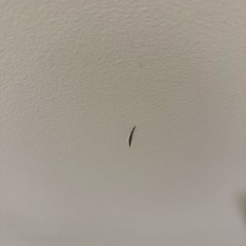 Phes - Office Cleaning Near Me