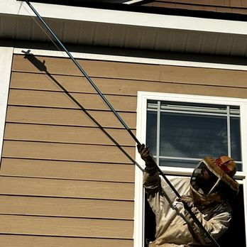 Patriot Environmental - Pest Control Near Me Patriot Environmental - Pest Control Near Me