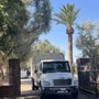 Larry's Tree Care