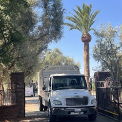 Larry's Tree Care - Front driveway palm after a haircut.