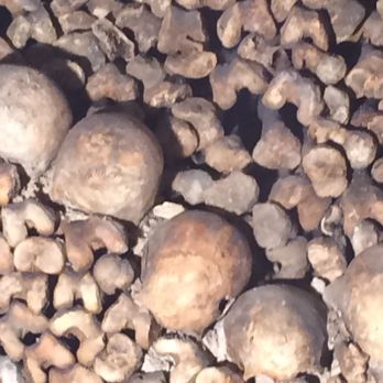 Les Catacombes de Paris - Local Flavor Near Me - Paris, 75 Les Catacombes de Paris - Local Flavor Near Me - Paris, 75