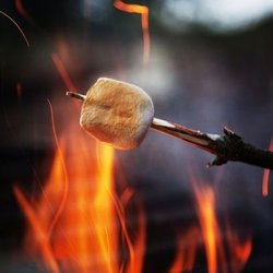 Timberlane Cottages - Enjoy a campfire every evening along our waterfront.  Each cabin has a outdoor grill for your daily fishing catch.