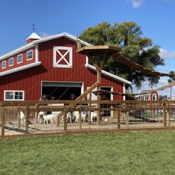 Jonamac Orchard