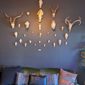 As Above, So Below Distillery - a living room with a green couch and various animal heads mounted on the wall - Distilleries Near Me - Santa Fe, New Mexico