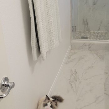 LKL Restoration - My cat even enjoys it. - General Contractors Near Me