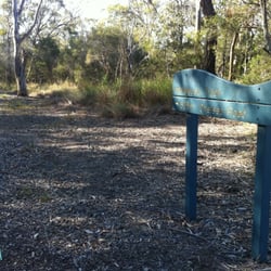 Tingalpa Creek Track